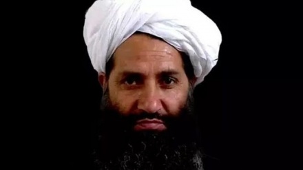 Taliban: Afghanistan wird nicht als Basis für Angriffe auf andere Länder genutzt