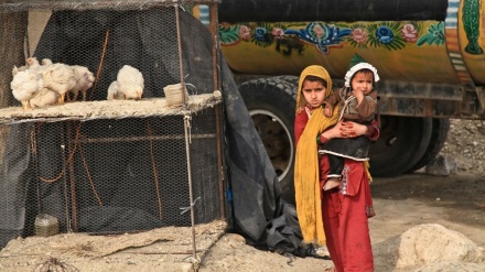 Iran besorgt über Lage afghanischer Flüchtlinge
