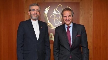 Fortsetzung der Zusammenarbeit zwischen Iran und IAEA, Hauptgesprächsthemen zwischen Irans Chefunterhändler und IAEA-Chef
