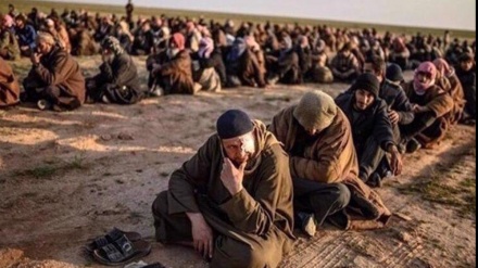 50 IS-Terroristen wurden unter US-Luftschutz in Syrien verlegt