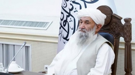 Taliban fordern islamische Länder auf, Regierung in Afghanistan anzuerkennen