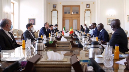 Iran bereit, Technologie zu transferieren und wissenschaftliche Errungenschaften mit Mali zu teilen