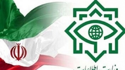 Iran: Schwedischer Staatsbürger wegen möglicher Spionage festgenommen