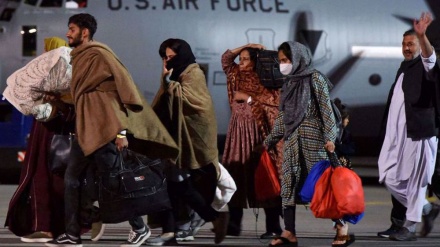 Überwiegende Mehrheit der Afghanen wurde durch US-Einreiseprogramm abgewiesen