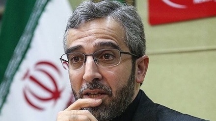 Bagheri-Kani fordert nachhaltige Zusammenarbeit zwischen Iran und Europa