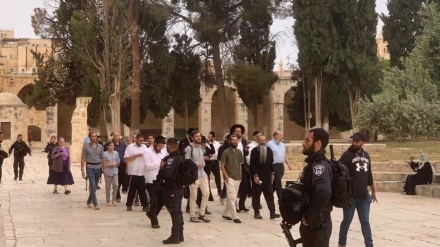 Zionistische Siedler stürmen Al-Aksa-Moschee am Nakba-Tag