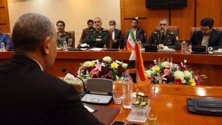 Verteidigungsminister: Iranische Militärprodukte können Irak bei Gewährleistung der Sicherheit helfen