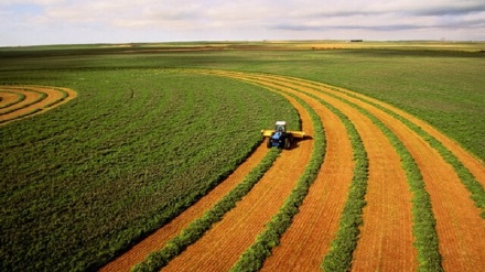 Venezuela stellt Iran 1 Million Hektar landwirtschaftliche Nutzfläche zur Verfügung