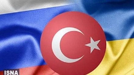 Ankaras Reaktion auf anti-türkische Kampagne in Ukraine