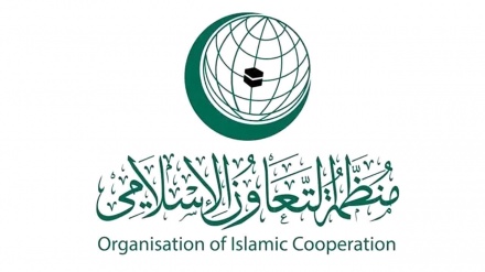 Status des schwedischen Sonderbeauftragten in Organisation für Islamische Zusammenarbeit aufgehoben 