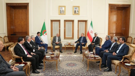 Amir-Abdollahian: Iran will Beziehungen zu Algerien verbessern