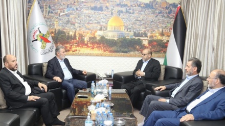 Palästinensischer Widerstand: Nur Israel profitiert von innerpalästinensischen Zusammenstößen im Libanon-Lager