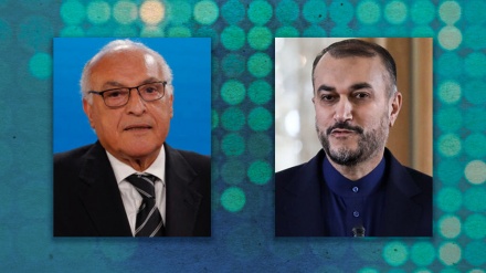 Außenminister Amir-Abdollahian: Ende der Verbrechen Israels und Entsendung von Hilfsgütern haben dringende Priorität