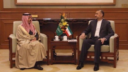 Iran fordert muslimische Länder auf, Maßnahmen gegen Israels Krieg gegen Gaza zu ergreifen