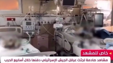 Aufnahmen zeigen, wie Israel Frühgeborene allein im Krankenhaus in Gaza sterben lässt