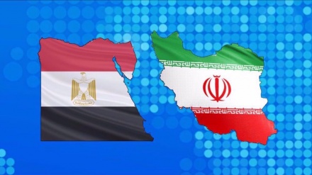 Ein Mitglied des ägyptischen Rates für auswärtige Angelegenheiten kündigt Möglichkeit eines Botschafteraustauschs zwischen Iran und Ägypten an