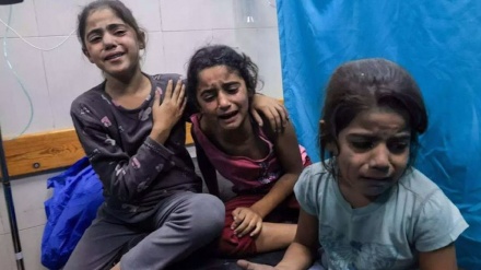 Iran fordert Ägypten auf, Grenzübergang Rafah bedingungslos zu öffnen, damit Hilfsgüter nach Gaza gelangen