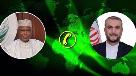 Iran ruft zu einer Dringlichkeitssitzung der OIC zur israelischen Aggression in Rafah auf