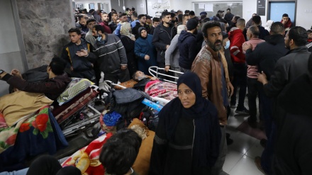 AI: Aussetzung finanzieller Unterstützung der UNRWA vergrößert Leid der Menschen in Gaza