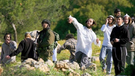EU einigt sich auf Sanktionen gegen gewalttätige israelische Siedler