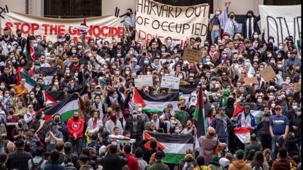 Erfolgloses französisches Verbot von Anti-Islamophobie-Protesten