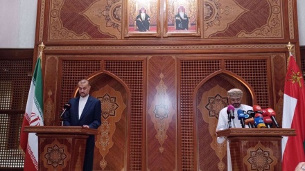Amir-Abdollahian: Iran ist Insel der Stabilität in Westasien