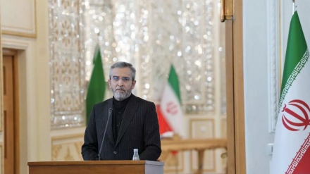 Iran fordert muslimische Nationen auf an der Seite der Palästinenser zu stehen