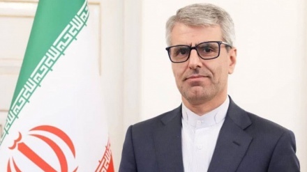 Baghaei: Wir sind stolz, dass das iranische Nouruz von verschiedenen großen Nationen als Symbol der Freundschaft und des Friedens gefeiert wird