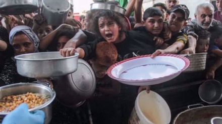 WFP: Fast die gesamte Bevölkerung im Gazastreifen ist auf Nahrungsmittelhilfe angewiesen
