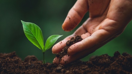 Was wissen Sie über die Rechte der Natur und der Tiere im Islam?