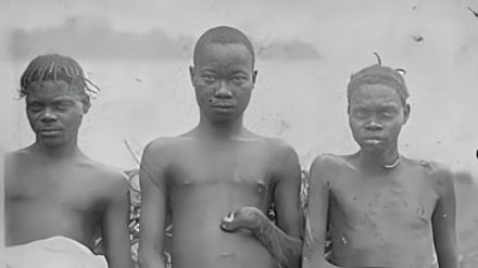 Historische Archive neu lesen | Abgetrennte Hände - Blutiges Geschenk von Leopold II. an das Volk des Kongo
