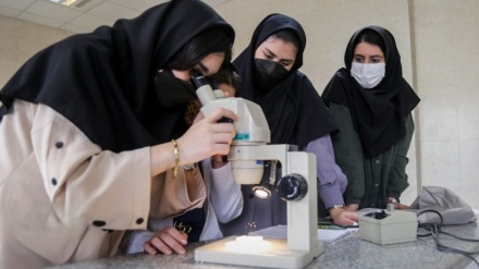 Wissenschaftsnachrichten aus Iran | Von einem iranischen nanoskaligen Wirkstoffsystem zur Brustkrebsbehandlung bis hin zu FIFA-zertifiziertem Kunstrasen
