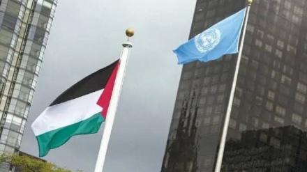 Die palästinensische Flagge wird bei der Weltgesundheitsorganisation gehisst