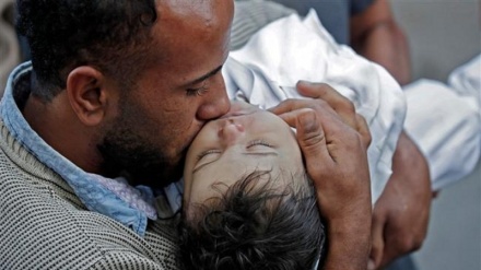 Wie viele palästinensische Kinder werden täglich im Gazastreifen getötet? 