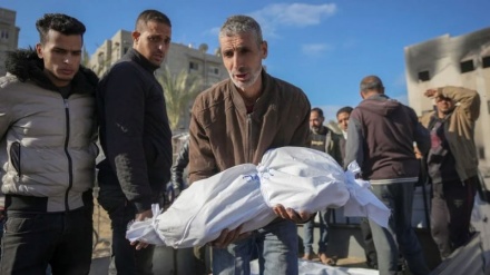 Enthüllung geheimer Statistiken der zionistischen Armee: 83 Prozent der Opfer in Gaza sind Zivilisten