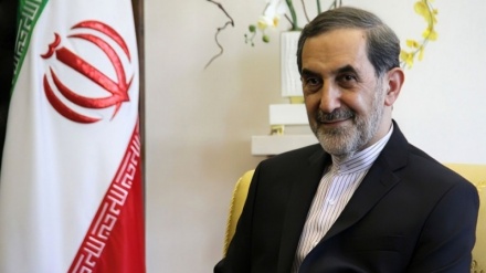 Velayati: „Der Kaukasus ist seit der Zeit Kyros’ der Sicherheitsrand Irans”/ US-Botschafter ins französische Außenministerium einbestellt