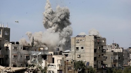 Hamas: 