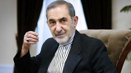 Nachrichten | Velayati: Der SOZ-Gipfel war ein Wendepunkt in der Weltgeschichte/ Französischer Abgeordneter: Israels Verbrechen werden in die Geschichte eingehen