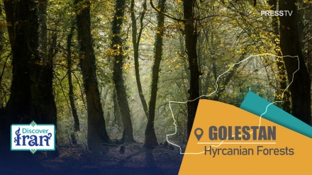 Die zum UNESCO-Welterbe gehörenden hyrkanischen Wälder von Golestan, ein grünes Juwel in Nordiran